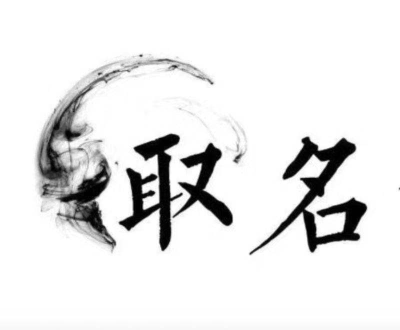  崇左市宝宝取名 大师一对一人工起名
